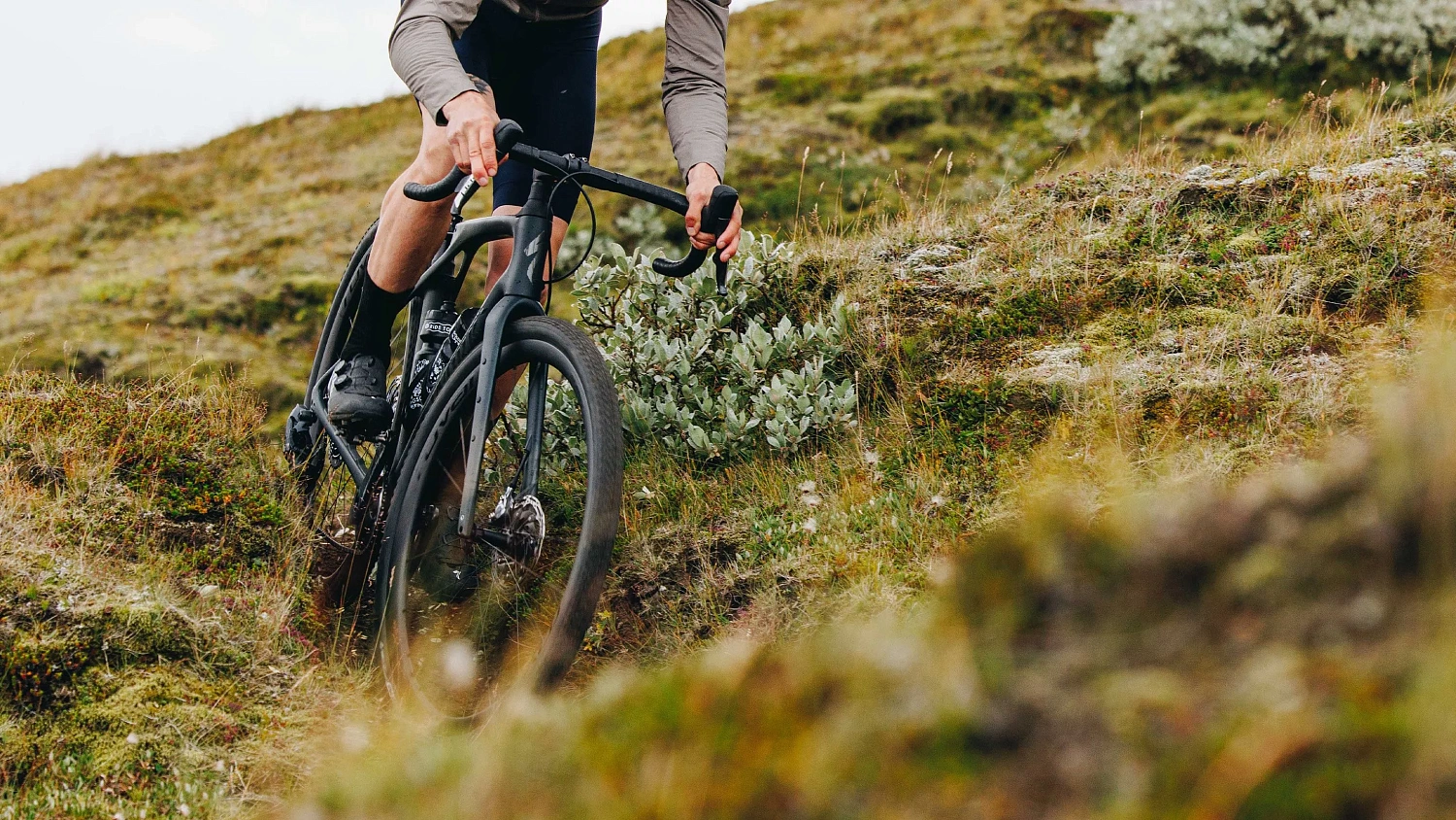Specialized Terra CLX II  